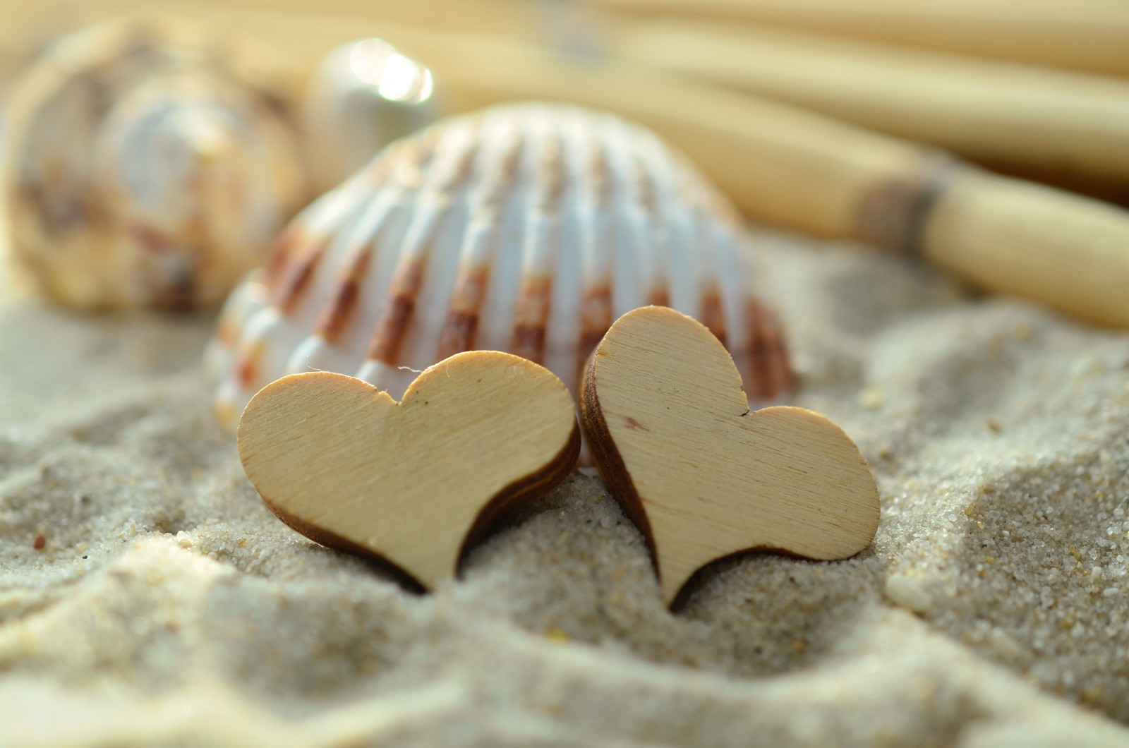 sand, heart, beach, food, seashell wallpaper