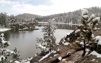 snow, wilderness, winter, lake, tree