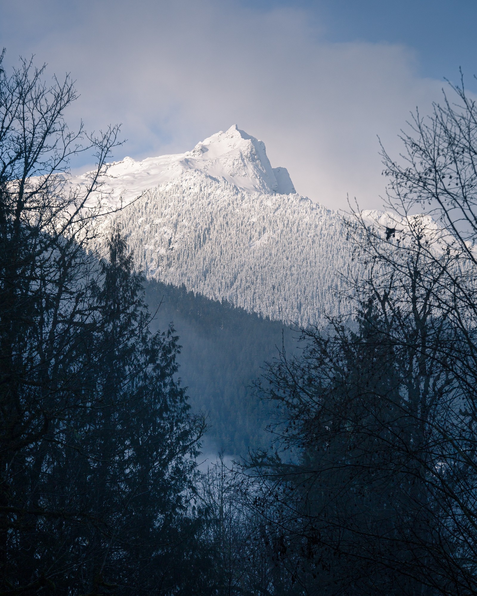 Há uma montanha coberta de neve à distância com árvores (luz solar, neve, montanha, formas montanhosas, cenário de montanha)