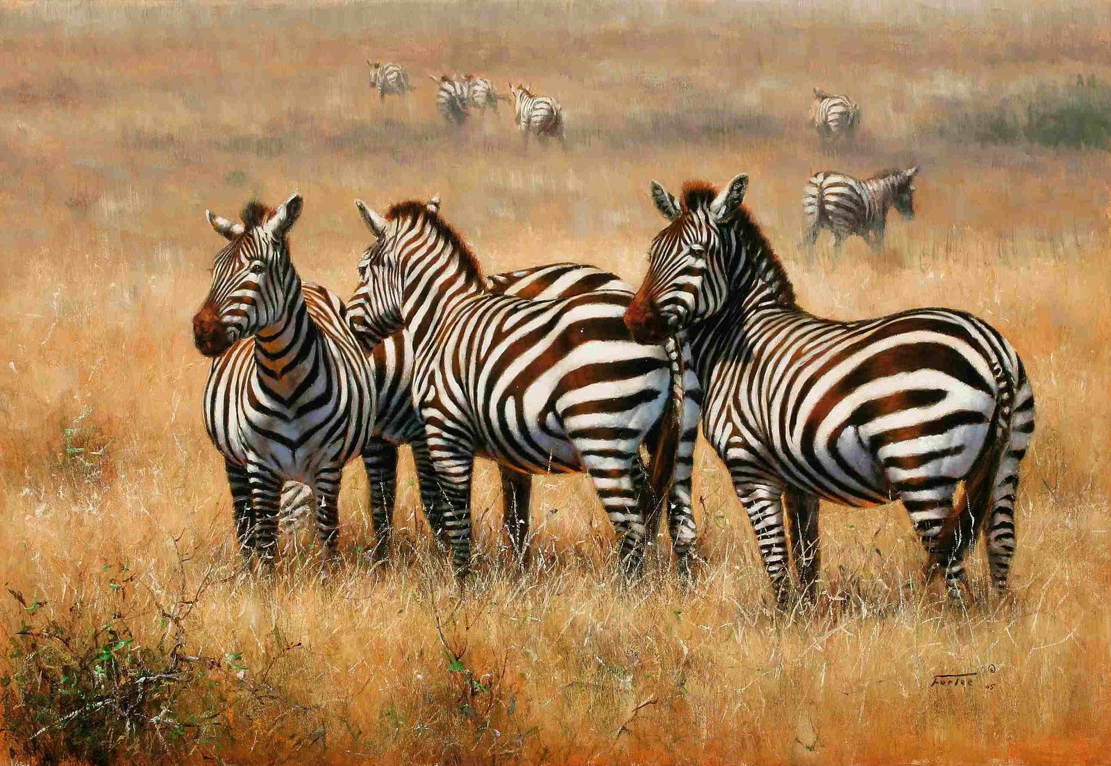 painting, art, painter, zebra, wildlife wallpaper