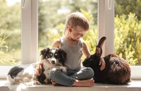 A young boy sits cross-legged by a window, joyfully interacting with a black rabbit and a companion dog, highlighting the bond between children and pets.