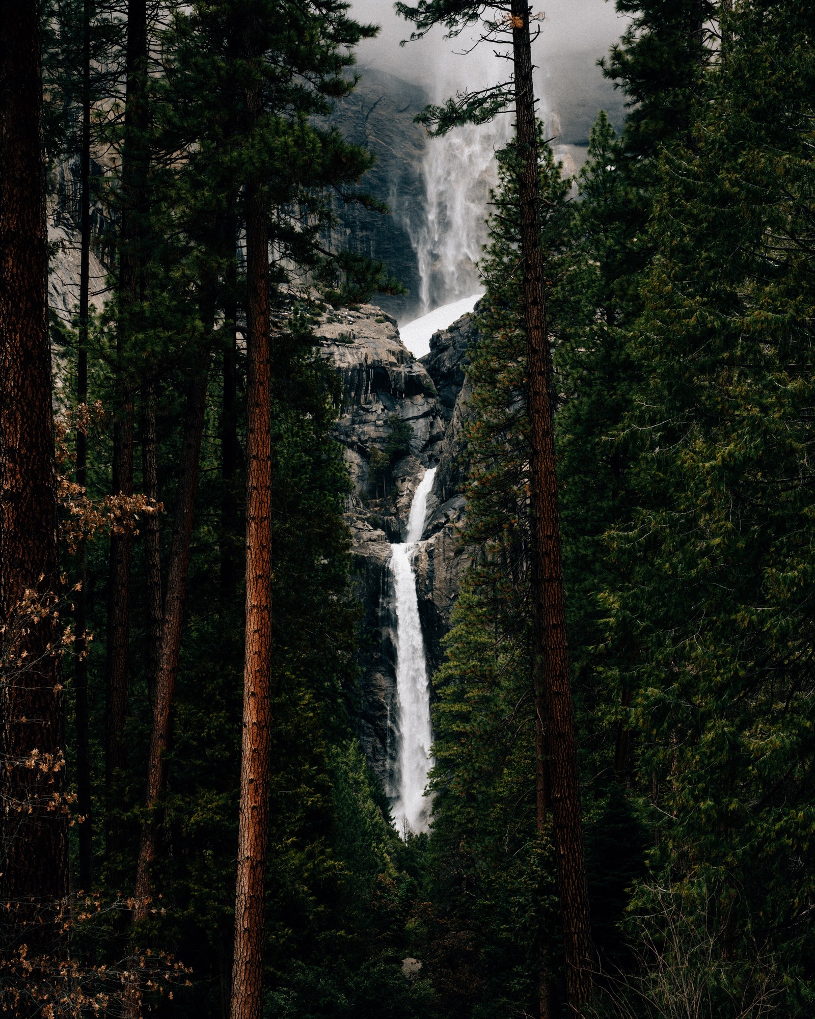 Hay una cascada en medio de un bosque con árboles (cascada, cuerpo de agua, naturaleza, paisaje natural, agua)