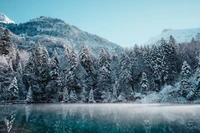 Maravilha de inverno serena: Montanhas cobertas de neve e reflexos da floresta