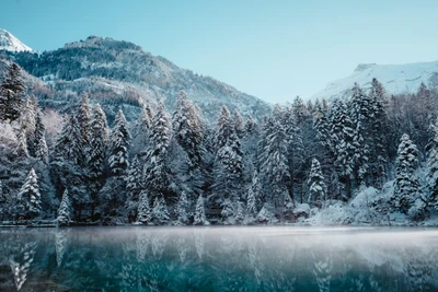 Maravilla invernal serena: Montañas cubiertas de nieve y reflejos del bosque