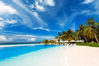 Piscine à débordement tranquille entourée de palmiers luxuriants au Velassaru Maldives Resort