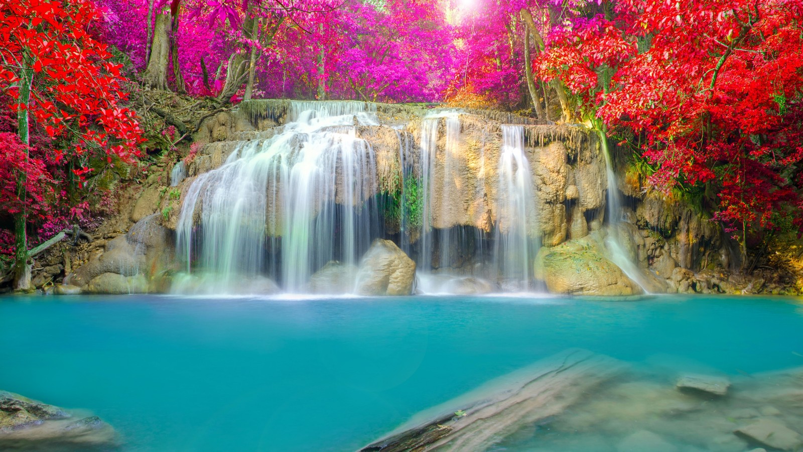 Une cascade au milieu d'une forêt avec des arbres colorés. (la cascade, nature, plan deau, ressources en eau, eau)