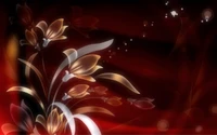 flower, red, plant, petal, graphics wallpaper