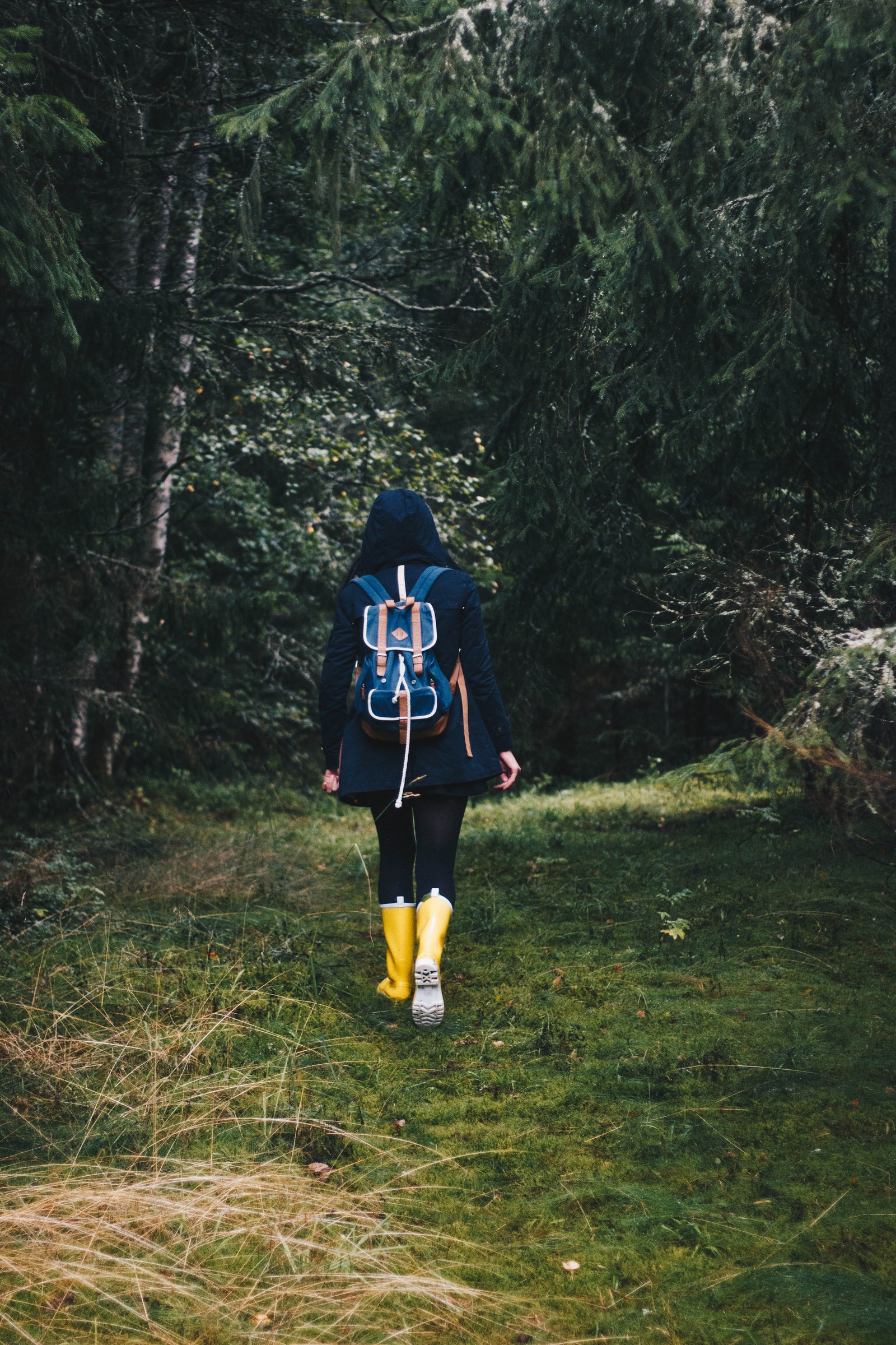 Uma girafa caminhando na floresta com uma mochila e botas de chuva (recreação, árvore, floresta, planta)