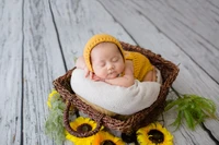 Adorables Neugeborenes in gelbem Häkelkostüm, das in einem Korb liegt, umgeben von Sonnenblumen