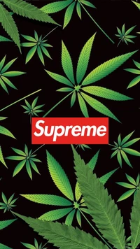 supreme wallpaper