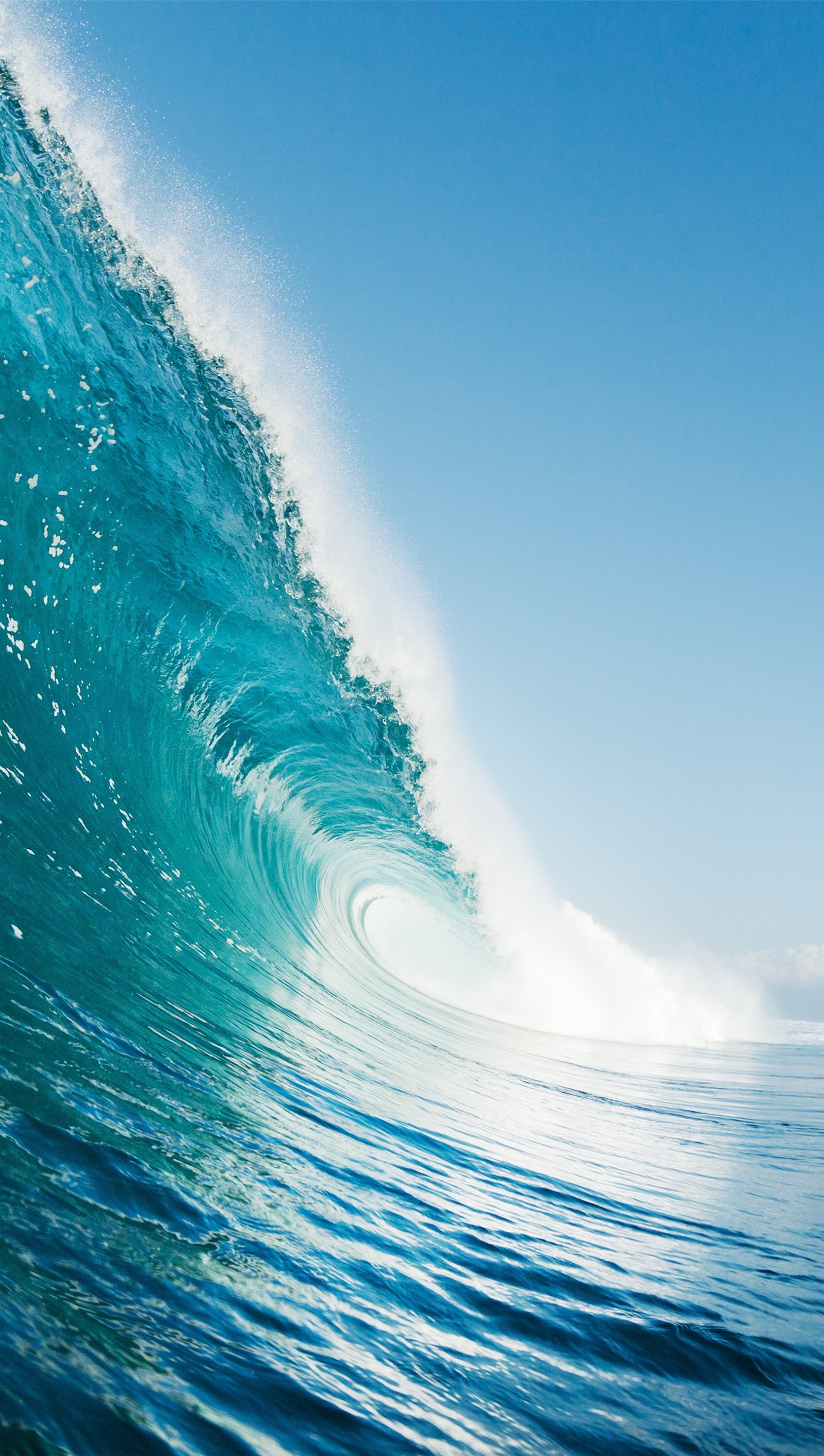 Un surfeur chevauchant une grande vague dans l'océan par une journée ensoleillée (bleu, mer, eau, vague)