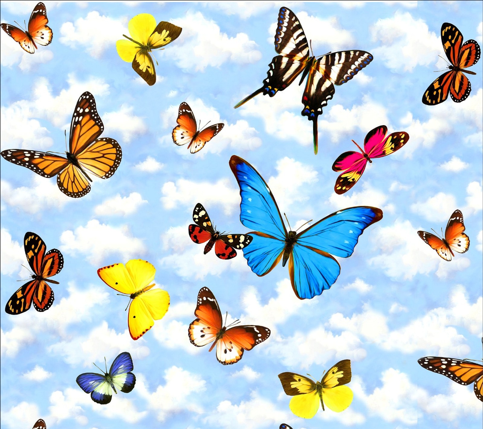 Butterflies flying in the sky with clouds in the background (blue, butterflies)