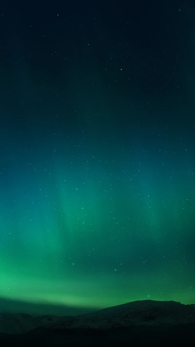 Beeindruckende Nordlichter über einer ruhigen Landschaft