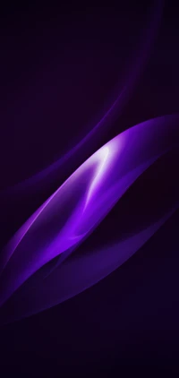 A vibrant purple and violet abstract design featuring smooth, flowing curves and gradients that evoke a sense of depth and space.