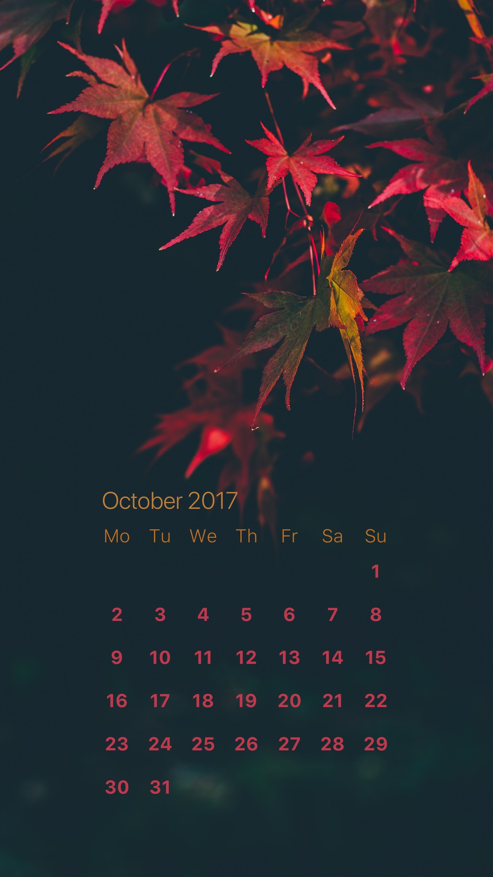 A close up of a calendar with a red leaf on it (calendar, october, oct, productivity)