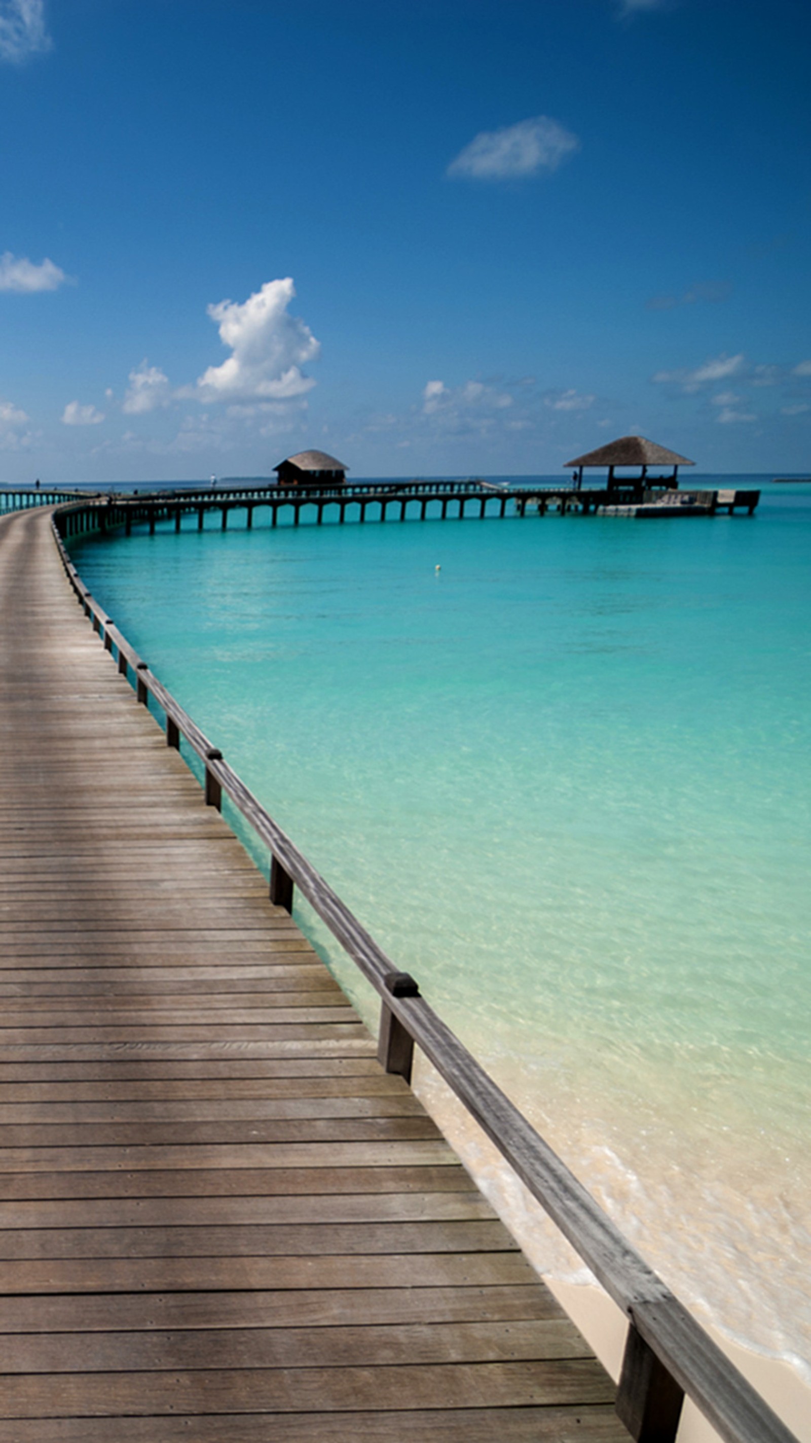 Jirafas caminando por un muelle de madera sobre el océano (playa, isla, tropical)