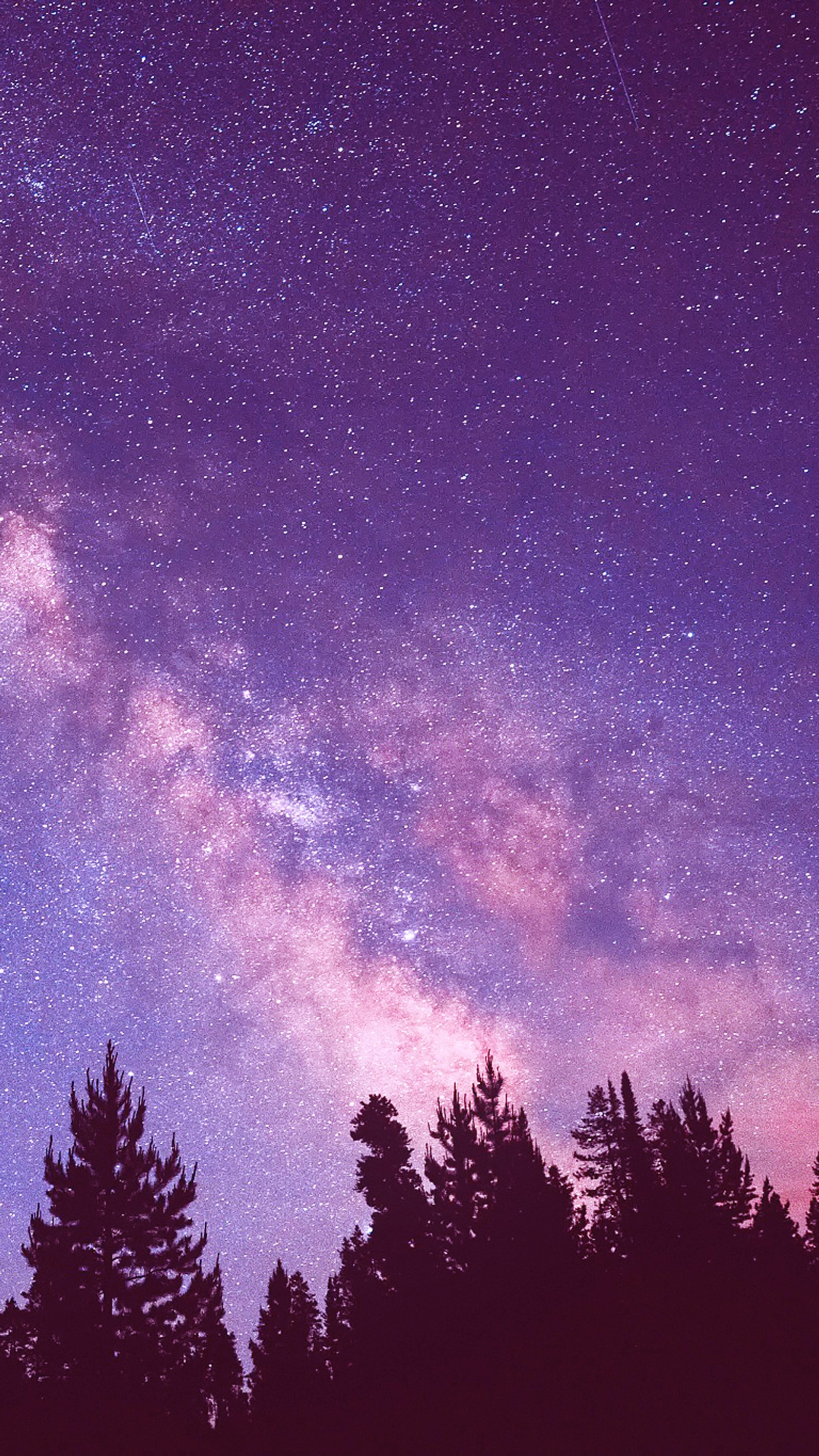 Un cielo estrellado con algunos árboles y un avión a lo lejos (bosque, galaxia, púrpura, cielo, espacio)