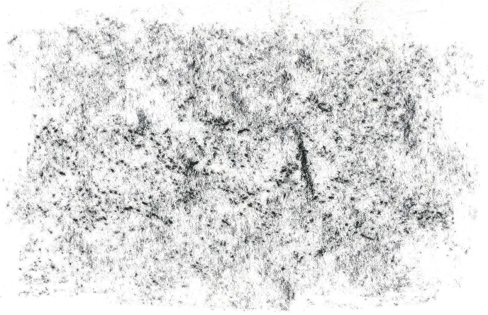 A black and white photo of a tree with a lot of dirt (drawing, texture, black and white, vector graphics, pattern)