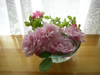 Elegant bouquet of Rosa centifolia in a clear vase, featuring soft pink petals and lush greenery, beautifully arranged on a wooden table.