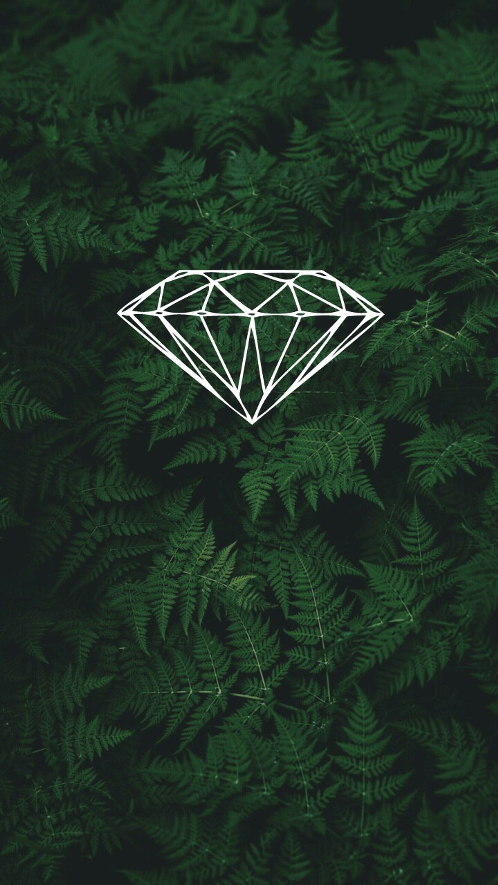 A close up of a diamond on a green plant with leaves (leaf, diamond, plant, branch, tree)