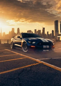 Ford Mustang Shelby GT350 dans un cadre de coucher de soleil dramatique, mettant en valeur ses performances et son design élégant contre une ligne d'horizon urbaine.