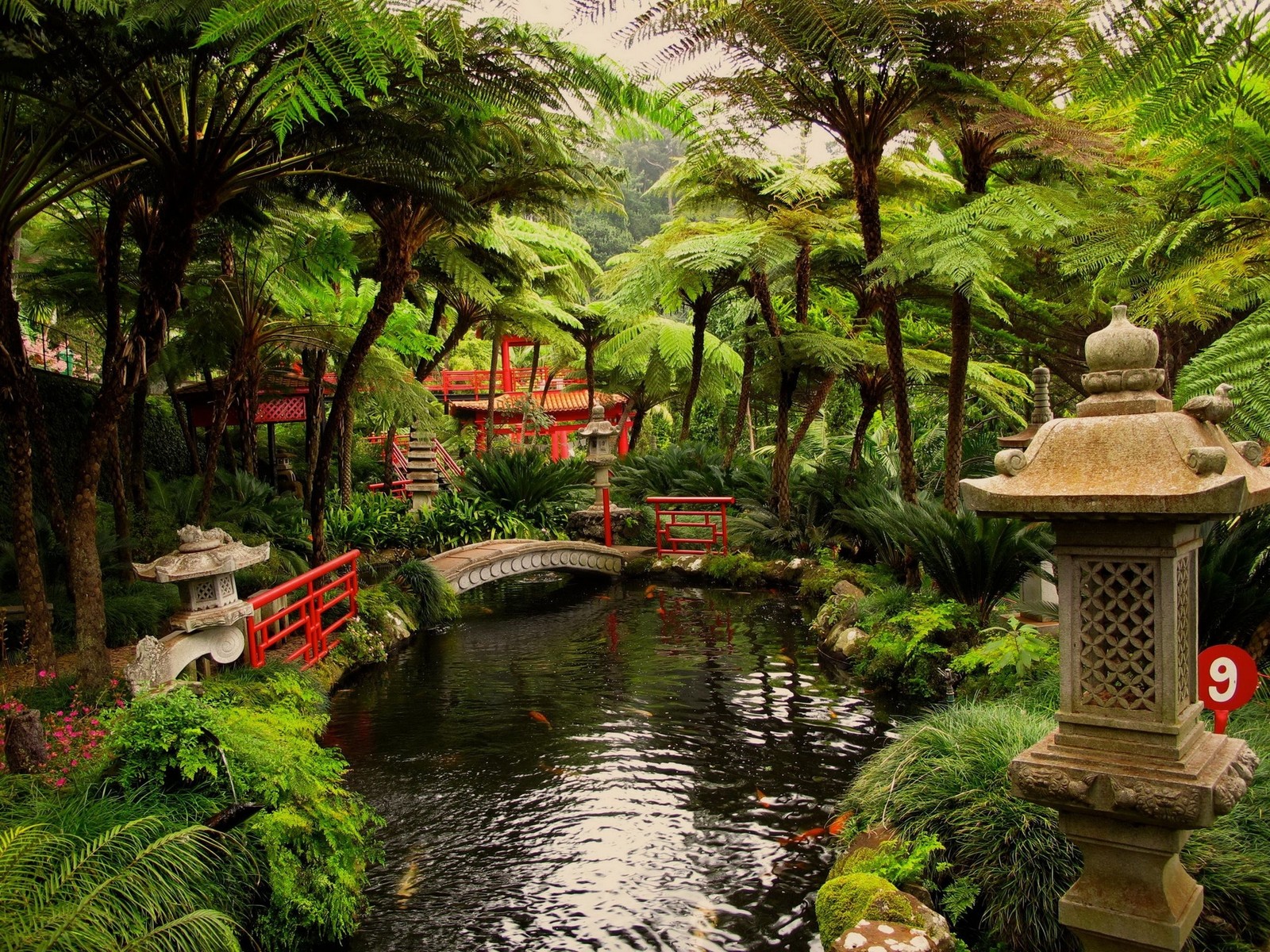 Uma vista de um jardim com uma ponte e um lago (jardim japonês, jardim, jardim de pedras japonês, design de jardim, natureza)