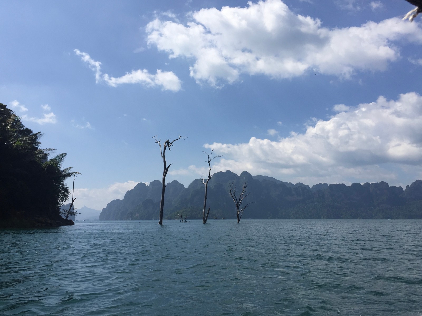 There are many birds sitting on the branches of trees in the water (fjord, water resources, cloud, waterway, mountain range)