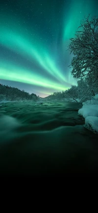 Reflexiones serenas de Aurora sobre un paisaje invernal