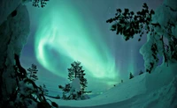 Impresionante aurora sobre un paisaje invernal