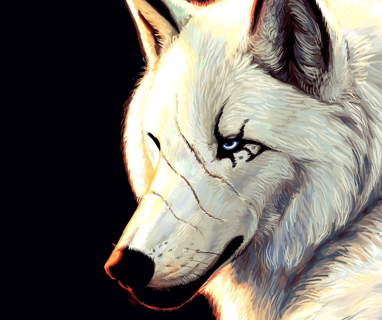 There is a white wolf with blue eyes and a black nose (animals, art, white, wolf)