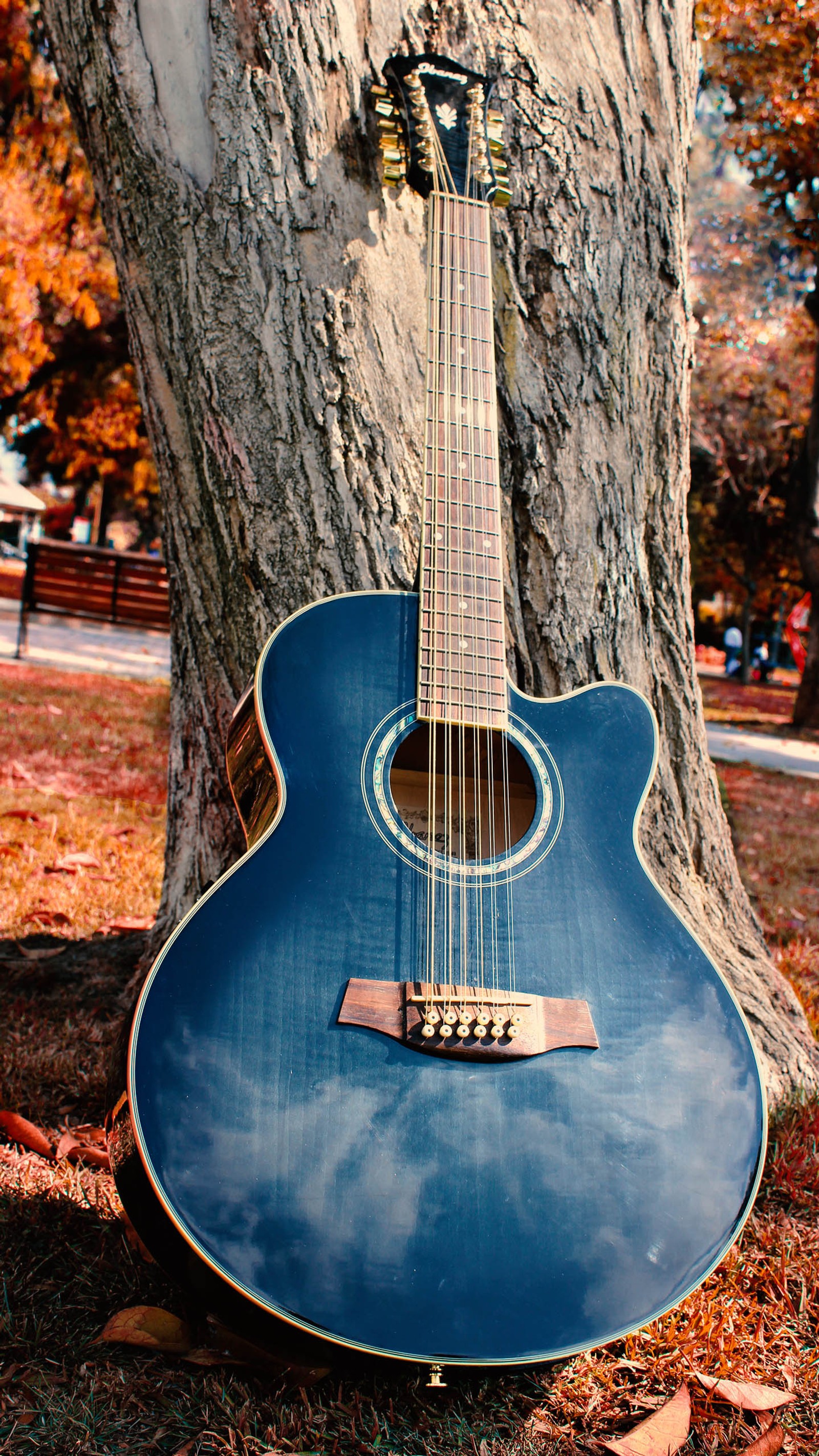 Descargar fondo de pantalla guitarra, foto, metal, cuerdas, azul