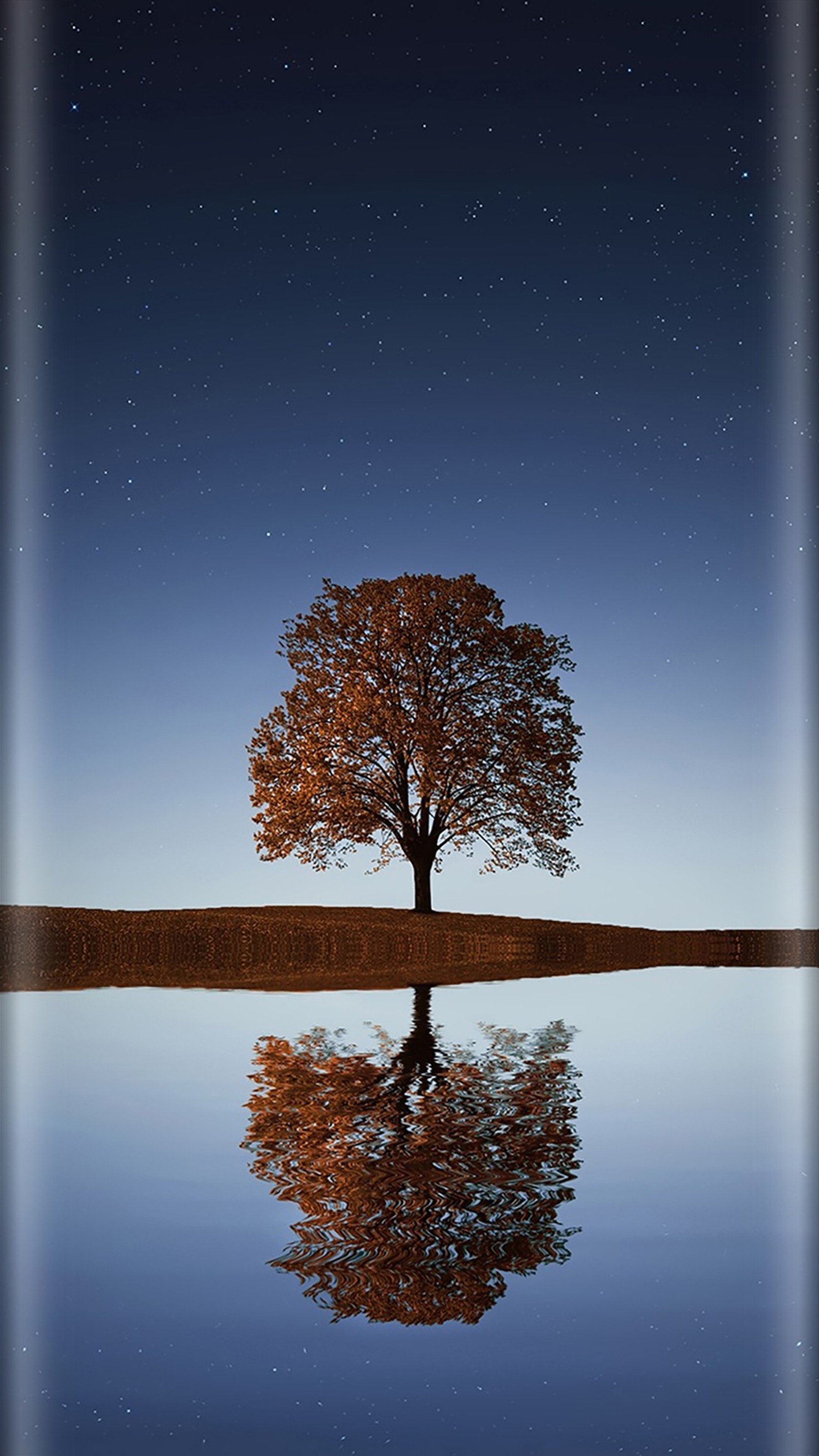 Uma árvore com reflexão em um lago à noite (beleza natural, estilo de borda, noite, céu, estrelas)