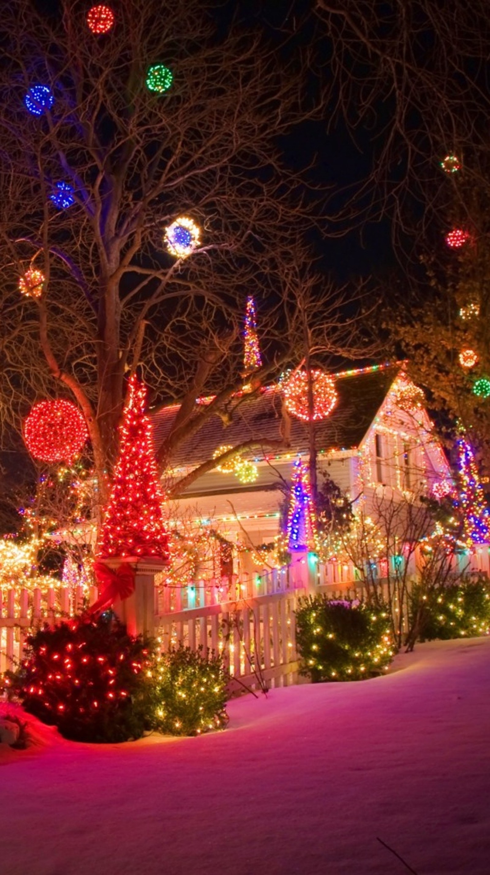 Uma casa lindamente decorada com luzes de natal e árvores no quintal da frente (feriado, lar, luzes)