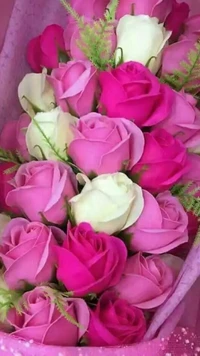 Elegant Arrangement of Pink and White Roses