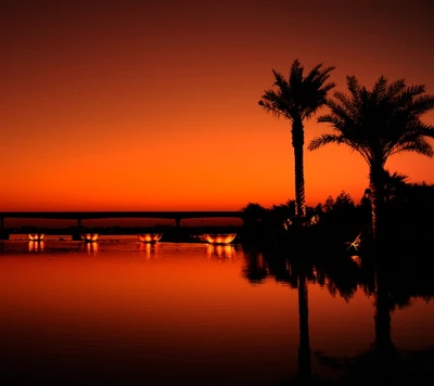 Réflexion sereine du coucher de soleil sur un paysage bordé de palmiers