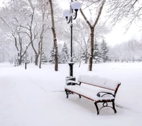 Snow-covered bench in a tranquil winter park.