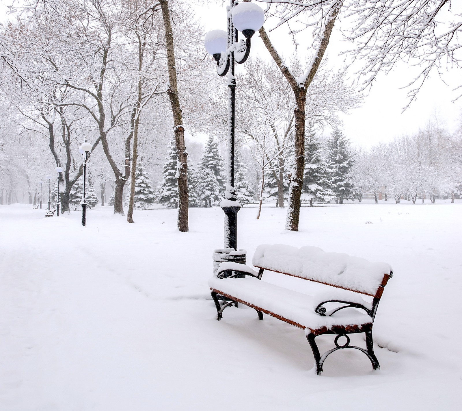 Eine verschneite parkbank mit einem laternenpfahl und straßenlichtern im hintergrund (bank, park, schnee, weiß, winter)