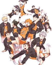 anime, haikyuu, karasuno, volley ball