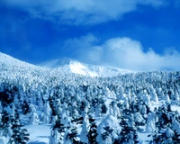 Majestic Winter Wonderland: Snow-Covered Mountains and Frosted Pines