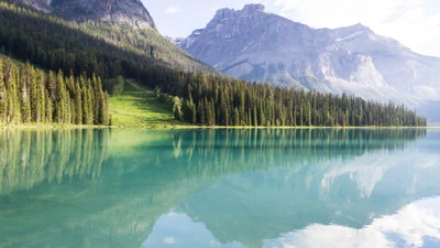 Stunning Reflection of Peyto Lake Surrounded by Majestic Mountains and Lush Forests