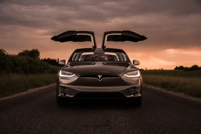 Tesla Model X com portas Falcon Wing abertas contra um céu de pôr do sol dramático.