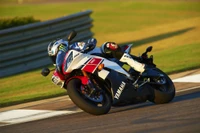 superbike rennen, yamaha motor company, motorad, auto, straßenrennen