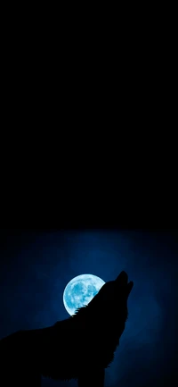 moon, atmosphere, blue, black, azure wallpaper