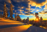 Goldener Sonnenuntergang über schneebedeckter Wildnis