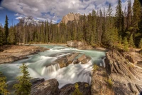 Río sereno fluyendo a través de un paisaje salvaje