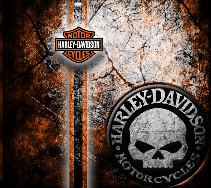 Логотип harley davidson на фоне гранжа со skull (байкер, дэвидсон, davidson, гранж, grunge)