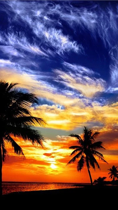 Coucher de soleil parfait sur un horizon tropical