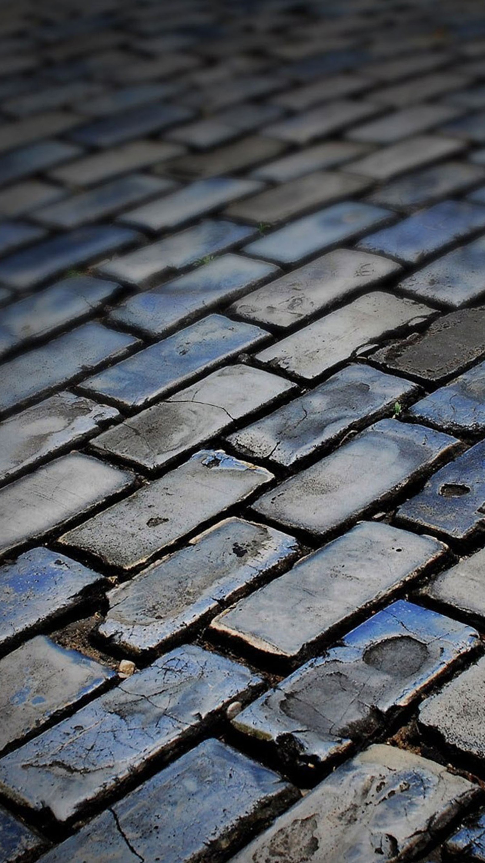 A close up of a brick sidewalk with a blue sky in the background (brick street, bricks, street, tiles)