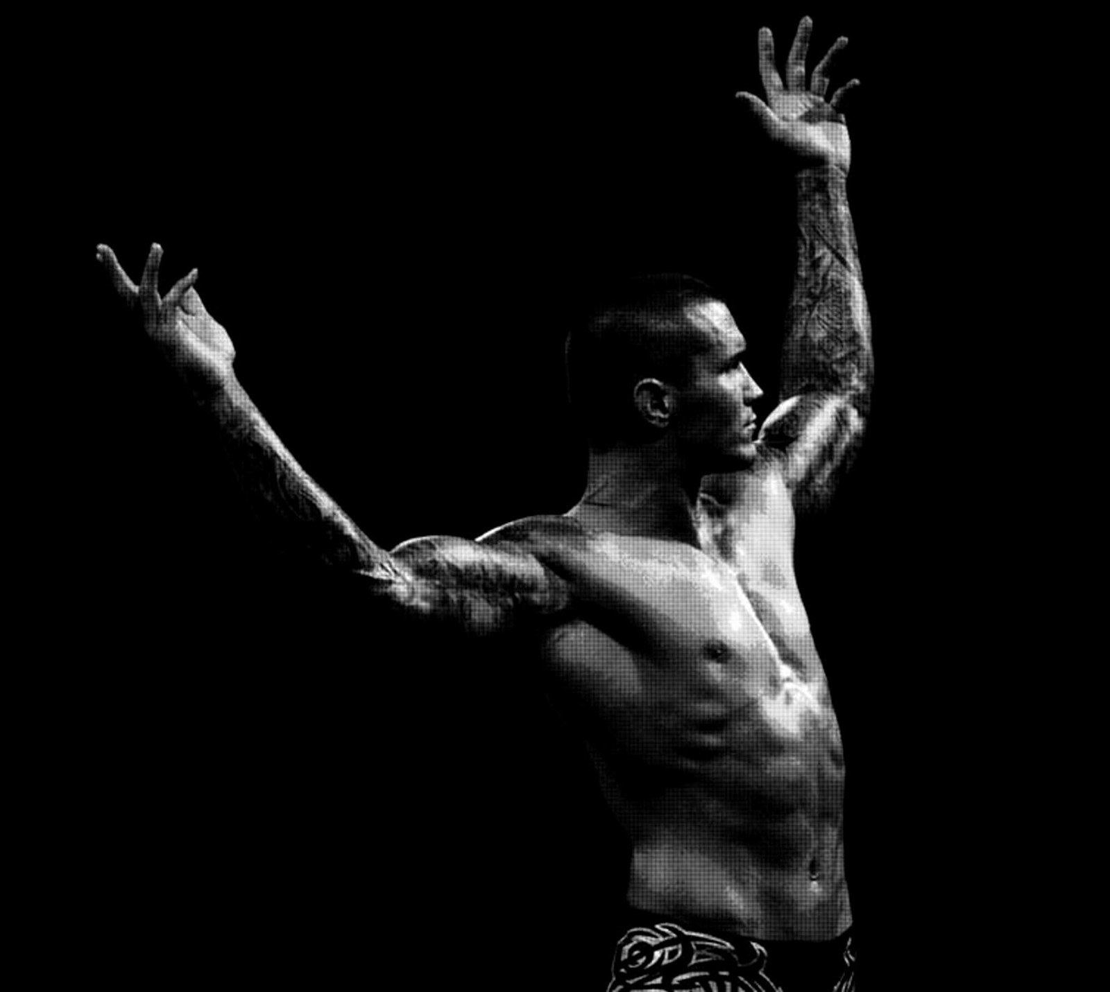 Image aérienne d'un homme avec des tatouages sur les bras et les bras étendus dans les airs (orton, randy orton, lutteuse, wwe)