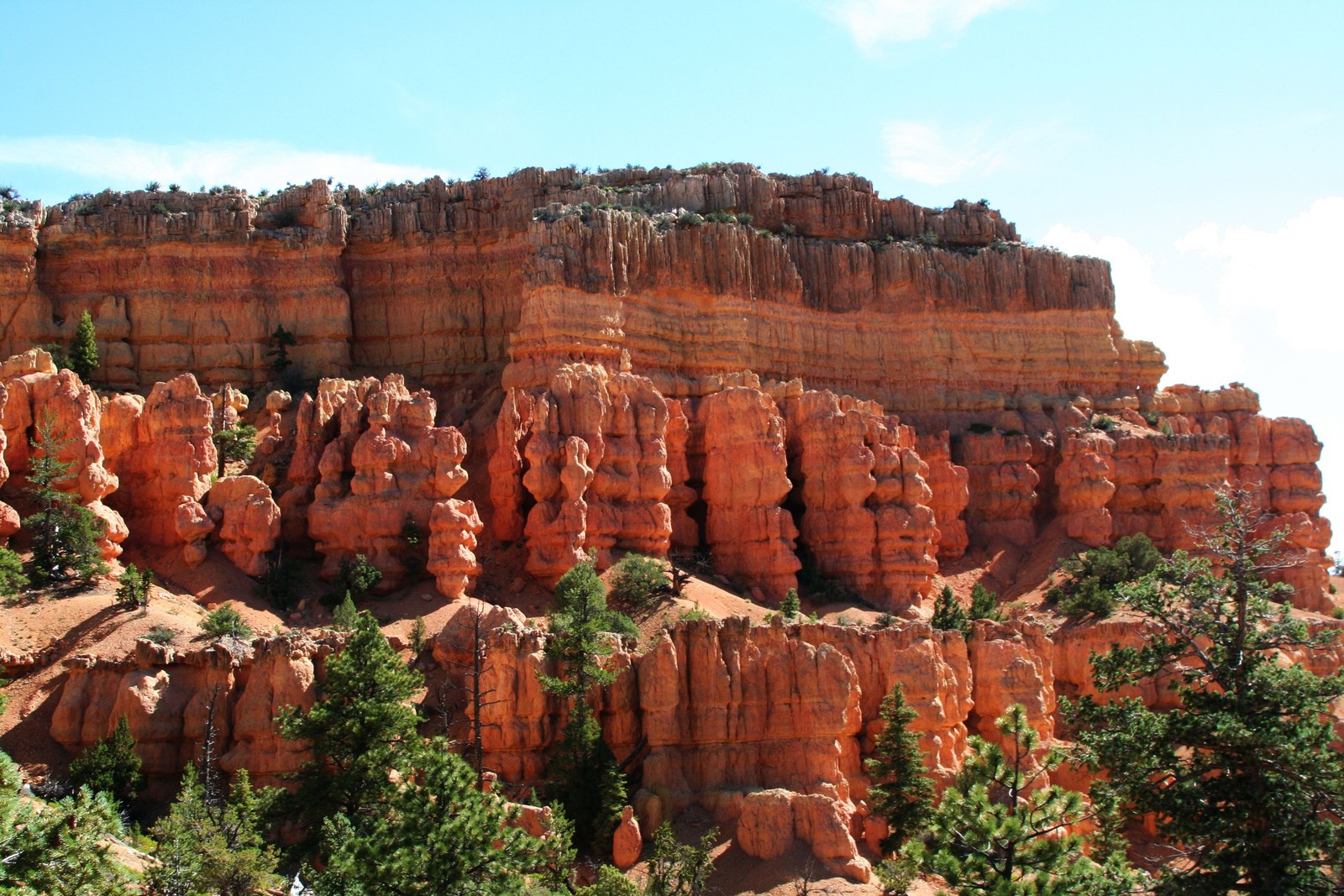 Araffe canyon in the bryce national park, utah (canyon, historic site, national park, rock, formation)